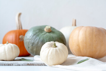 Different color pumpkins on white table, background