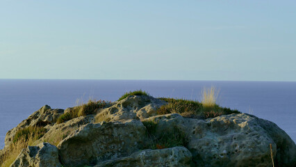 Fototapeta na wymiar Rock with grass on the coast of the Cantabrian Sea