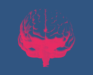 Engraving brain illustration on blue BG