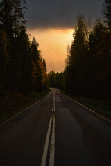 Sunset on the road surrounded by forest