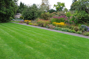 path in the garden