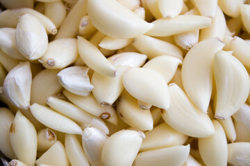 Garlic Abstract