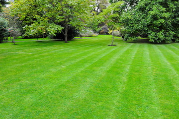 Grass lawn in a beautiful garden
