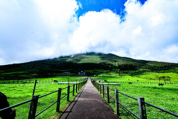 Fototapeta na wymiar 八丈富士の景色