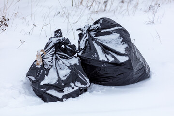 Black garbage bag on white snow.