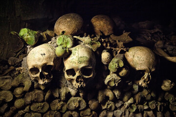 Skulls in the catacombs