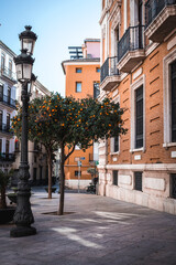 street in the town. brown house in Spain. architectural style. street photo with trees and lamps