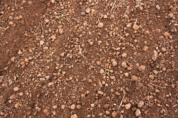 Indian soil closeup