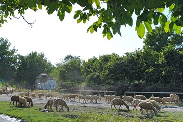 Fototapete bei efototapeten.de bestellen   