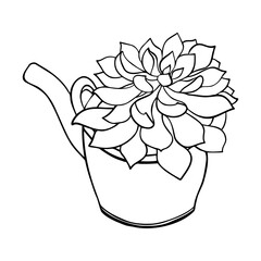 Black line succulent in teapot. Cute vector cactus silhouette. Hand drawn Lovely home plant. 