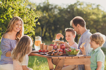 Portrait of nice attractive cheerful lovely family mom dad brother sister spending free time sunny day on fresh air eating lunch feast rest relax in green park backyard summertime season