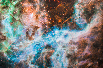 big star in the park and tall palm trees