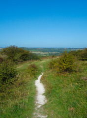 Chalk footpath at Butser Hill ,Hampshire