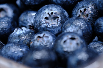 Close up of fresh blue berry with water drops .