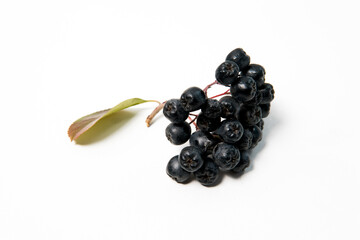 Bunch of currants on white background. Isolated. Copy space.