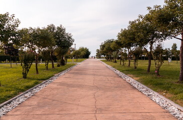 Modern park in Batumi city. Batumi . Georgia