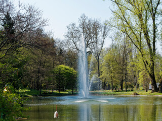 Fototapeta na wymiar Parc et jardin botanique, jet d'eau et aménagements aquatiques au printemps de Bad Bellingen im Markgräflerland (Bade-Wurtemberg)