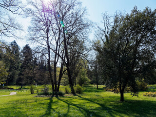 Parc naturel et jardin botanique, espace vert du Spa ou Thermes de Bad Bellingen im Markgräflerland (Bade-Wurtemberg)