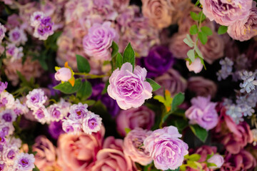 Closeup image of beautiful flowers wall background with amazing colorful roses. Top view