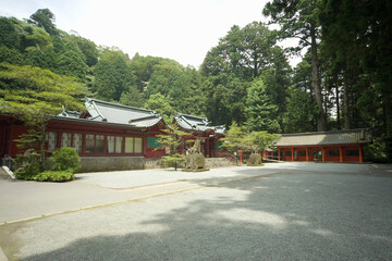 Fototapeta premium 箱根神社