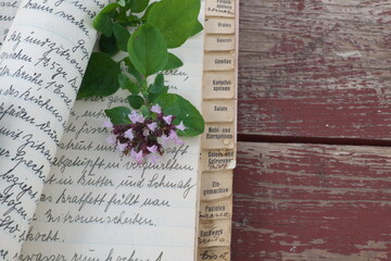 Kochbuch altes Kochbuch Rezepte alte Rezepte Schriften Petersilie Rosmarin
Speisen Getränke Einkochen Gemüse Eierspeisen Salat Kartoffeln Saucen
Braten Register Papier Buch
buch, wörterbuch, definitio