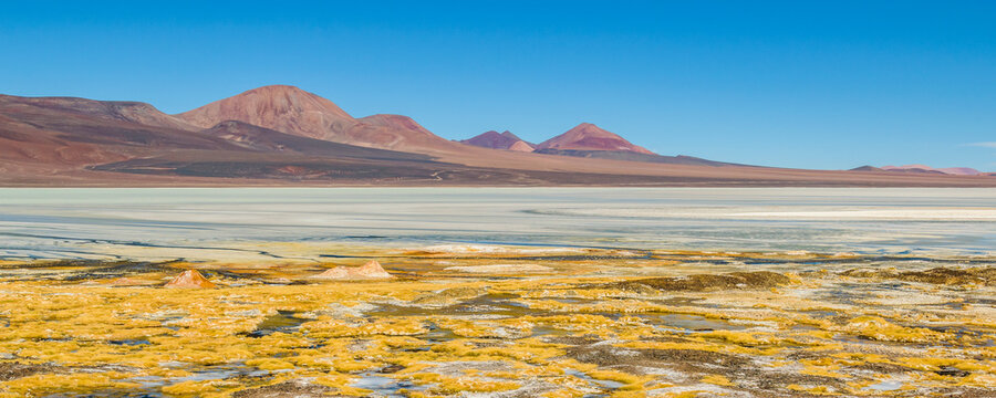 Brava Lagoon Landscape, La Rioja, Argentina