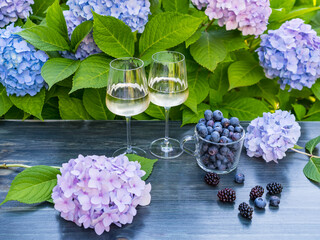 Two glasses with white wine and a glass of berries on a wooden table in the garden among the...