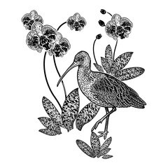 Decoration pattern. Birds ibis and flowers orchids. Black and white