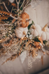 still life small pumpkins