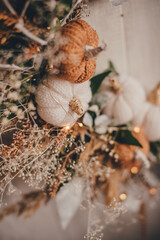 still life small pumpkins