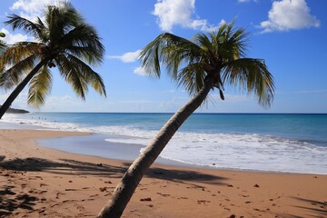 Guadeloupe beach - Plage de la Perle. Caribbean island.