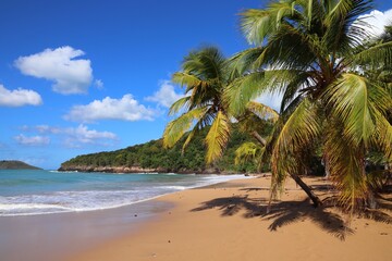 Perle Beach in Guadeloupe. Caribbean island.