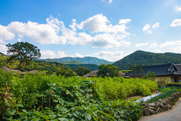 Fototapeta na wymiar 한국의 전통 민속 마을
