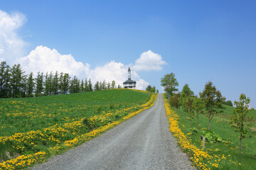 Fototapeta na wymiar 塔の見える丘
