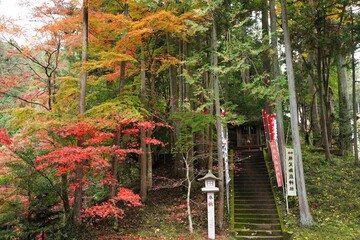 Fototapeta premium Japanese text on red flag is 