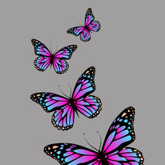 Fototapeta na wymiar Flying purple-pink butterflies. Vector illustration