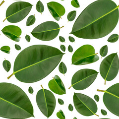 Fototapeta na wymiar Green leaves natural pattern seamless