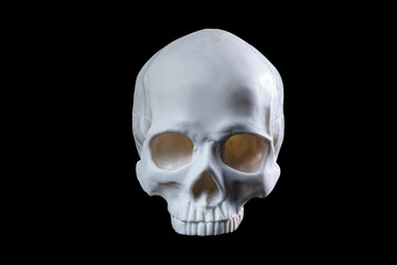 Jawless human skull