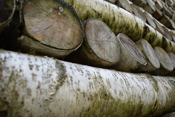 stack of logs