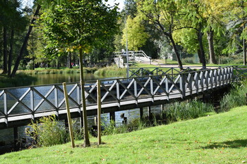 bridge in the park