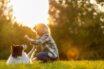 Little boy playing with his dog outdoors in the park
