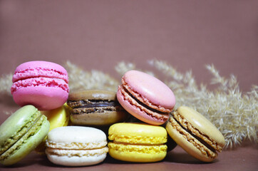Colourful tasty macaroons in a row. macaroons of different colors on a brown background