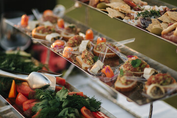 Different luzury snacks and antipasto on party. Gig table with snack outdoors
