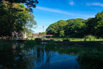Obraz premium 天王寺公園 河底池