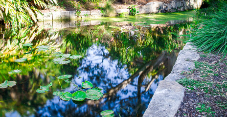 Day long exposure of a Pond in botanical gardens Sydney Australia