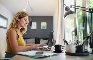 Mature woman working indoors in home office in container house in backyard.