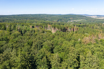 Fototapeta na wymiar Bird's eye view of partially sick and dead forest in the Taunus / Germany