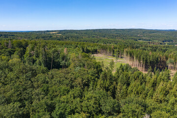 Fototapeta na wymiar Bird's eye view of partially sick and dead forest in the Taunus / Germany