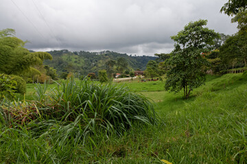 Gospodarstwo hodowlane w Andach kolumbijskich © Miroslaw