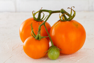 Ripe yellow tomatoes on a white background.